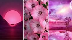 Pink Wallpaper Images For Mobile | Best Corner