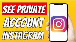 How To View Private Instagram Without Following Them 2023 - Full Guide