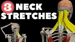 Neck Stretches for Instant pain relief
