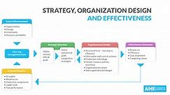 Organizational Design: A Complete Guide
