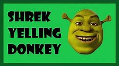 Shrek Yelling Donkey