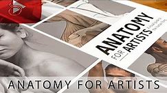 Anatomy for Artists Book Review
