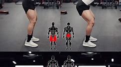 Squat variations! Here is a video showing the four variations of squats and how every variation biases the different muscles in your lower body. 1️⃣ High Bar Squat = Quads bias 2️⃣ Low Bar Squat = Glutes bias 3️⃣ Front squat = Quads bias 4️⃣ Sumo squat = Adductors bias —— ❗️SAVE THESE VARIATIONS FOR FUTURE REFERENCE❗️ —— @nayimshahdhar —— . . . . #gymtips #squats #squat #frontsquat #backsquat #squatguide #fitness #gym #exercise #workout | Dynamite Fitness