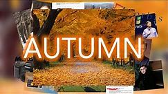 The Story of Autumn Wallpaper