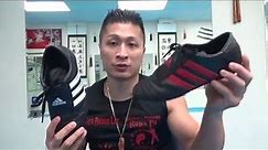 Adidas Martial Art Shoes - Product Review - Dec 28 2015