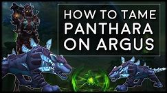 How to Tame Panthara Beasts on Argus | World of Warcraft Legion