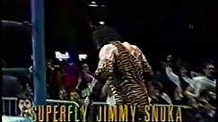 WWF MSG 1/21/91 #2 Undertaker vs. Jimmy Superfly Snuka