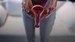 7 Ways Your Vagina Changes During Pregnancy