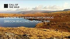 Experience the Bannau Brycheiniog (Brecon Beacons) National Park