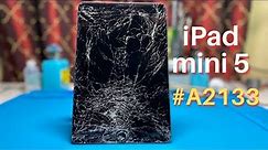How to Replace Your iPad Mini 5 Screen Without any problems!