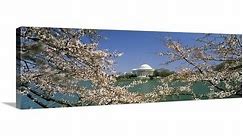 "Cherry blossom with Jefferson Memorial, Washington DC" Canvas Wall Art - Bed Bath & Beyond - 16896633