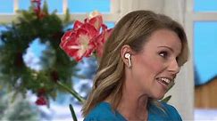 iFrogz Airtime Pro Truly Wireless Earbuds with Charging Case on QVC