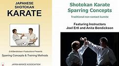 Shotokan Karate: Sparring Concepts Season 1 Episode 1