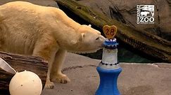 Polar Bear Birthday Party