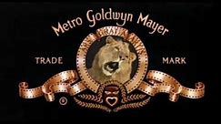 Metro-Goldwyn-Mayer (1991)