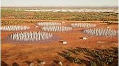 A look at how the Square Kilometre Array telescope will look