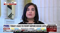Rep. Malliotakis calls out Democrats' supporters over escalating migrant crisis: 'Change who you're electing'