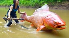 20 Biggest River Monsters Ever Caught