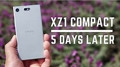 Sony Xperia XZ1 Compact Hands-On First Impressions - 5 Days Later