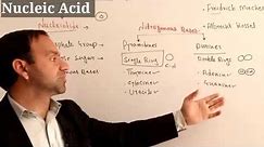 Introduction to Nucleic Acid | Nucleic Acid class 11 bio | Types of nucleic acid | Nucleotides