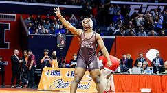 Illinois (IHSA) wrestling state championships notebook: Dillan Johnson, Ben Davino cap off careers as four-time champs
