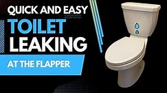 How to Fix a Leaking Toilet at the Flapper