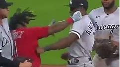 How do you get KO'd in a baseball game? 🤣 #MLB #baseball #baseballfights | Baseball Highlights Hub