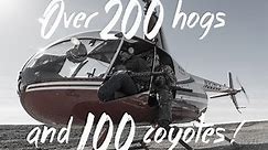203 Hogs and 100 Coyotes Helicopter Hunt with Pork Choppers Aviation