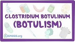 Clostridium botulinum (Botulismo): Vídeo & Anatomía | Osmosis