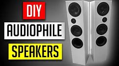 DIY floor standing speakers (with plans)