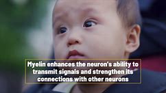 Talk To Your Baby To Develop Their Brain