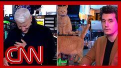 Anderson Cooper completely loses it as John Mayer dials in from a cat bar