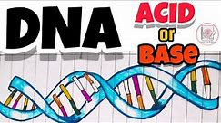 DNA-Acid or Base? @paperpenbiology