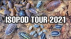 ISOPOD COLLECTION TOUR 2021 | FEEDING & WATERING (34 TYPES)