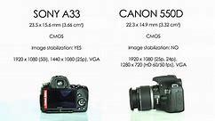 Sony A33 vs Canon 550D/t2i (Video mode)