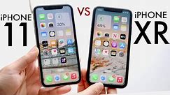iPhone 11 Vs iPhone XR In 2024! (Comparison) (Review)