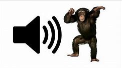Monkey - Sound Effect