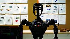 World’s first mass-produced humanoid robot? China start-up Fourier Intelligence eyes two-legged robots with AI brains