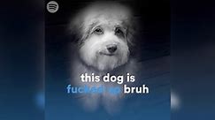 This Dog Is Fucked Up Bruh