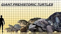 The 7 Giant Prehistoric Turtles Ever