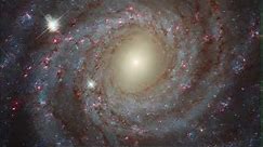 Spiral Galaxy NGC 3344 - Hubble Delivers Amazing Views