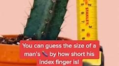 Doctor explains how to tell the size of a man'd penis without a ruler