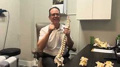 Hey Doc! Is this just a muscle? : Wilbeck Chiropractic