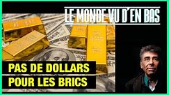 La monnaie des Brics ne sera pas le dollar - Le Monde vu d'en bas - n°120