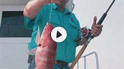Red Snapper Season 2024: All You Need to Know