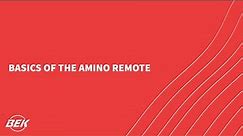 Basics of the Amino Remote