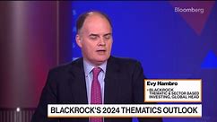 Demand for Commodities to Support Transition to Clean Energy: BlackRock