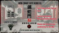 IRON SNAKE GATE KUNG FU - Level 2 : Earth Element