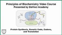 Protein Synthesis, Genetic Code, Codons, and Translation [Molecular Biology 5 of 11]