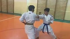 Bunkai Gojushiho sho... - Karate Techniques